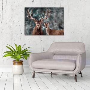 Sklenený obraz - Jeleň a laň v zasneženom lese (70x50 cm)