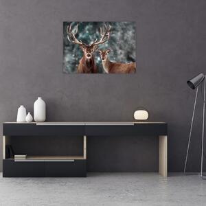 Sklenený obraz - Jeleň a laň v zasneženom lese (70x50 cm)