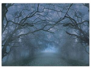 Obraz lesa v hmle (70x50 cm)