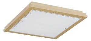 Argon 7146 - Stropné svietidlo CASERTA 2xE27/15W/230V 32x32 cm