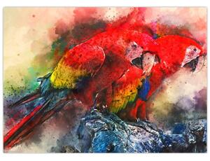 Obraz červených papagájov ara (70x50 cm)
