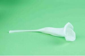 Stabilizované kvety Calla - biela