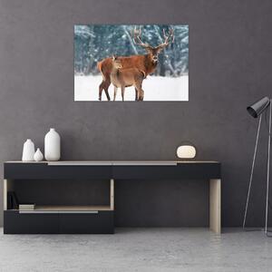 Obraz Jeleňa s laňou (90x60 cm)