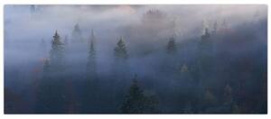 Obraz - Les v hmle, Karpaty, Ukrajina (120x50 cm)