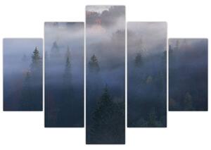 Obraz - Les v hmle, Karpaty, Ukrajina (150x105 cm)