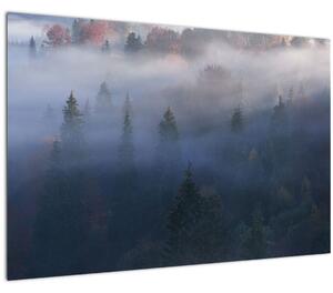 Obraz - Les v hmle, Karpaty, Ukrajina (90x60 cm)