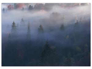 Obraz - Les v hmle, Karpaty, Ukrajina (70x50 cm)