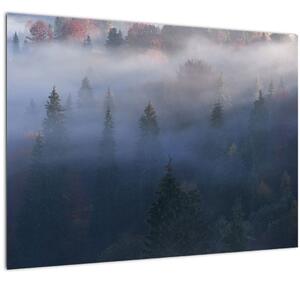 Obraz - Les v hmle, Karpaty, Ukrajina (70x50 cm)