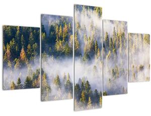 Obraz stromov v hmle (150x105 cm)