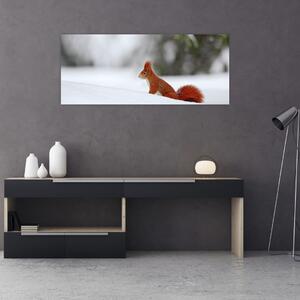 Obraz veveričky (120x50 cm)