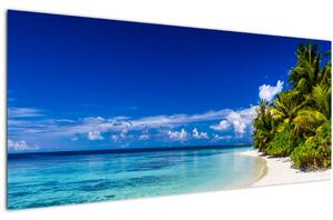 Obraz tropickej pláže (120x50 cm)