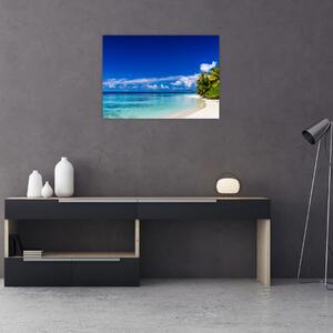 Obraz tropickej pláže (70x50 cm)