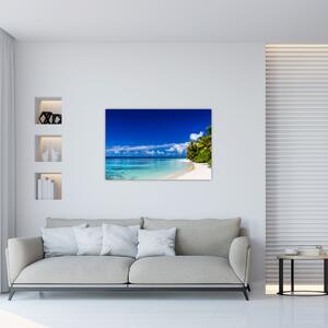 Obraz tropickej pláže (90x60 cm)