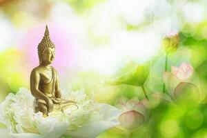 Samolepiaca tapeta harmónia budhizmu