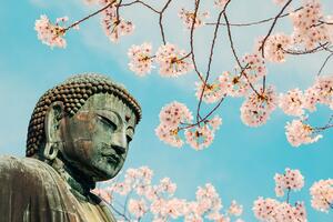 Fototapeta socha Budhu s čerešňou