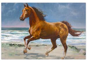 Obraz koňa na pláži (90x60 cm)