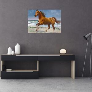 Obraz koňa na pláži (70x50 cm)