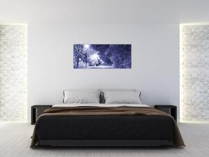 Obraz - Čarovná zimná noc (120x50 cm)