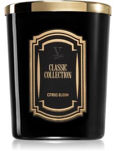 Vila Hermanos Classic Collection Citrus Blossom vonná sviečka 75 g