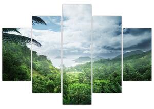 Obraz - Seychelská jungle (150x105 cm)