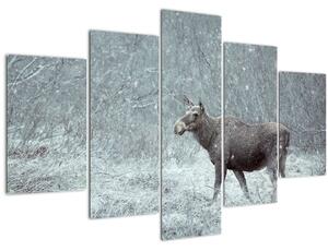 Obraz - Los v zasneženom lese (150x105 cm)