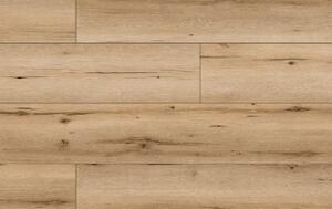 Classen Arteo Aqua Protect 8 XL 54831 DUB DENALI
