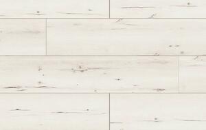 Classen Arteo Aqua Protect 8 XL 54832 DUB FAMARA