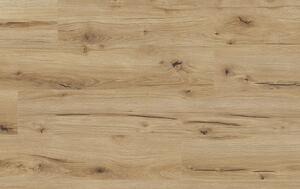 Classen Arteo Aqua Protect 8 M 62751 DUB GIBSON