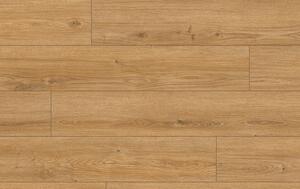 Classen Arteo Aqua Protect 8 M 62752 DUB HAMRA