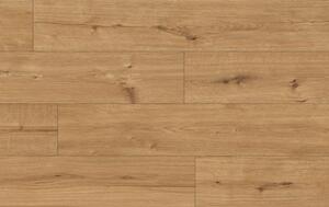 Classen Arteo Aqua Protect 8 XL 55088 DUB KALAHARI