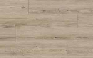 Classen Arteo Aqua Protect 8 M 62758 DUB NEFUD