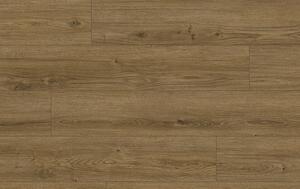 Classen Arteo Aqua Protect 8 M 62755 DUB KOTOR