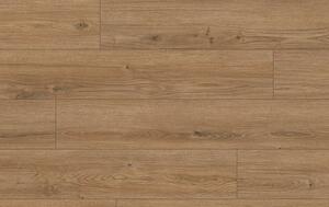 Classen Arteo Aqua Protect 8 M 62754 DUB KATAM
