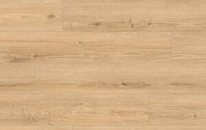 Classen Arteo Aqua Protect 8 M 62757 DUB NAMIB