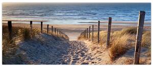 Obraz - Cesta k pláži Severného mora, Holandsko (120x50 cm)