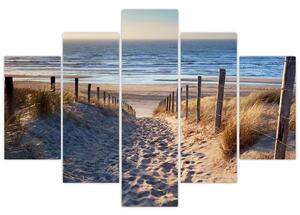 Obraz - Cesta k pláži Severného mora, Holandsko (150x105 cm)