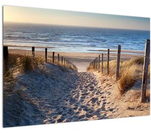 Obraz - Cesta k pláži Severného mora, Holandsko (90x60 cm)