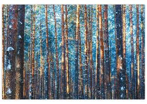 Obraz - Zimný les (90x60 cm)