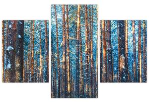 Obraz - Zimný les (90x60 cm)