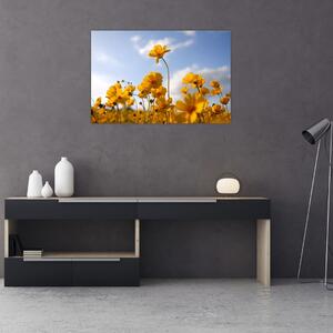 Obraz poľa s jasne žltými kvetmi (90x60 cm)