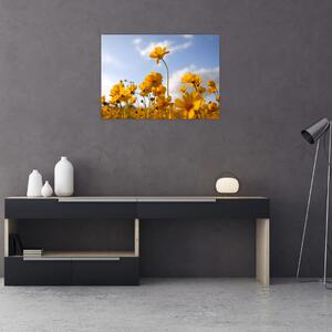 Obraz poľa s jasne žltými kvetmi (70x50 cm)