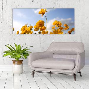 Obraz poľa s jasne žltými kvetmi (120x50 cm)