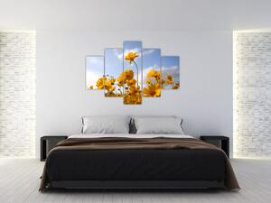 Obraz poľa s jasne žltými kvetmi (150x105 cm)