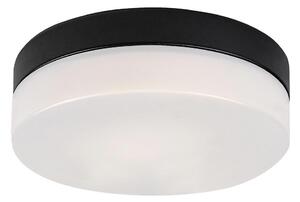 Rabalux 75025-LED Kúpeľňové stropné svietidlo GAELO LED/15W/230V pr. 23 cm čierna