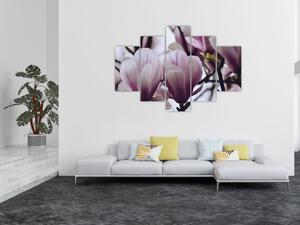 Obraz - Magnolie (150x105 cm)