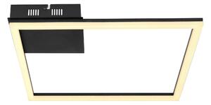 STROPNÉ LED SVIETIDLO, 40/40/5,5 cm Globo - Online Only bytové doplnky, Online Only