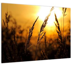 Sklenený obraz zapadajúceho slnka (70x50 cm)