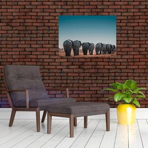 Obraz - Odchod slonov (70x50 cm)