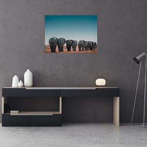Obraz - Odchod slonov (70x50 cm)