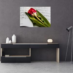 Obraz červeného tulipánu (90x60 cm)